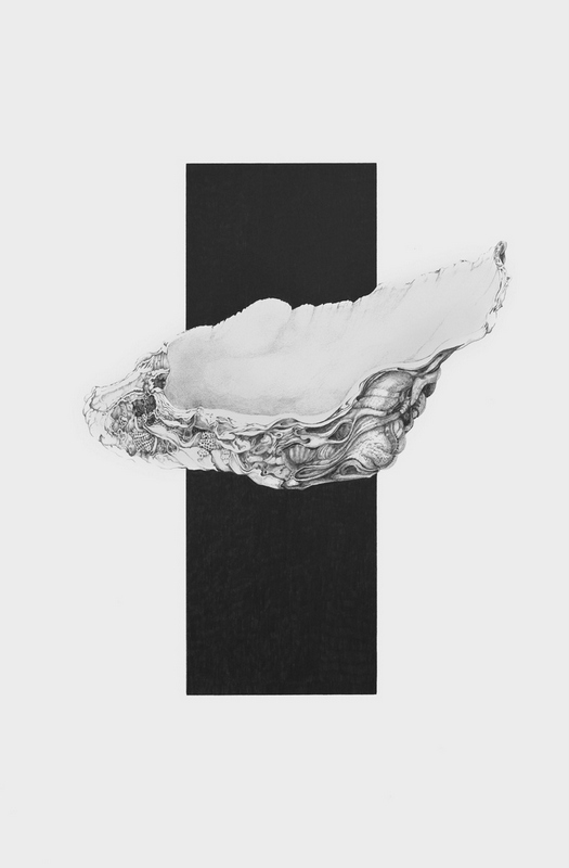 Sandy Fisher - Featured Artist