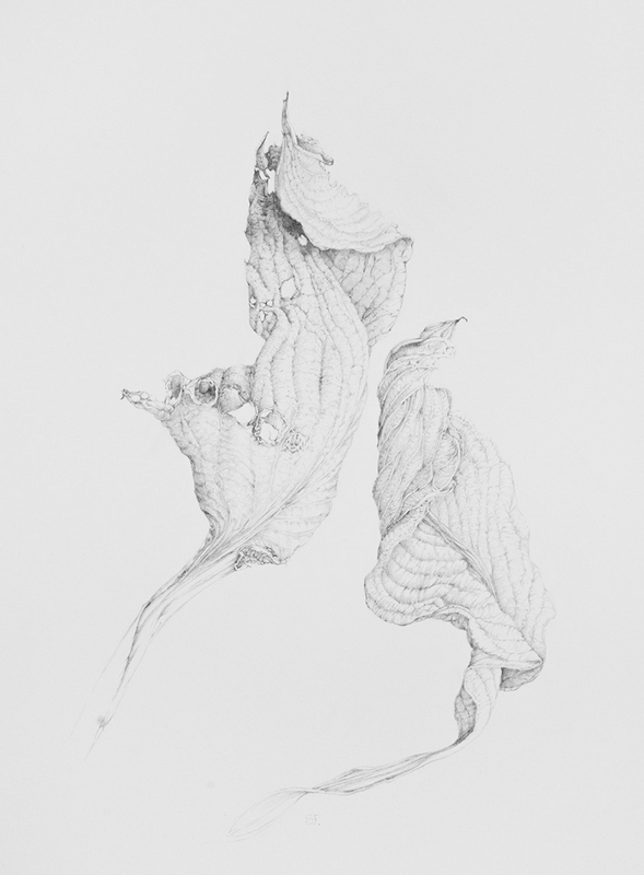 Sandy Fisher - Featured Artist