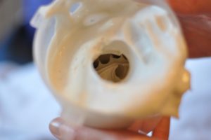 Halcyon Casts by Elle Trajcevski